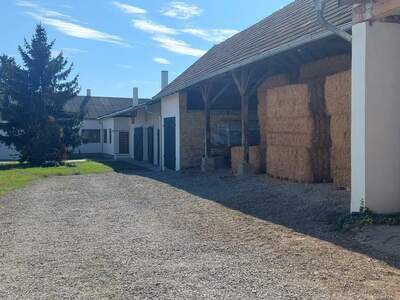 Mehrfamilienhaus kaufen in 2253 Weikendorf (Bild 3)
