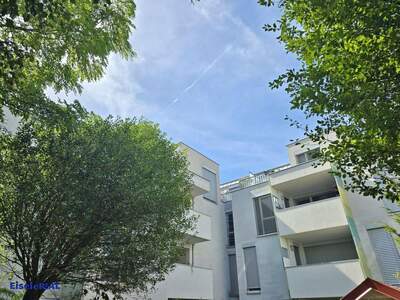 Wohnung mieten in 1230 Wien