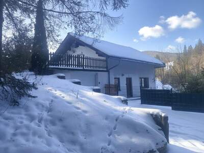 Haus kaufen in 8685 Steinhaus