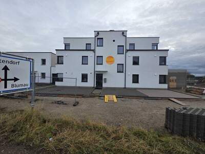 Wohnung kaufen in 2524 Teesdorf