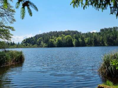 Einfamilienhaus kaufen in 9220 Velden (Bild 4)