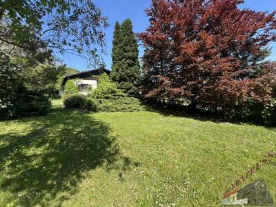 Einfamilienhaus kaufen in 2113 Karnabrunn (Bild 4)