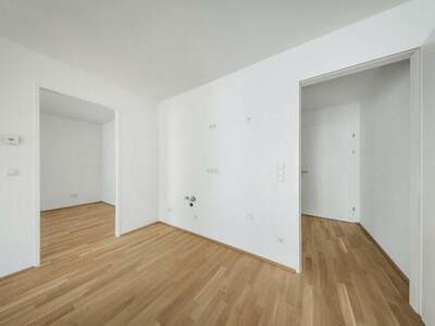 Terrassenwohnung kaufen in 1210 Wien (Bild 3)
