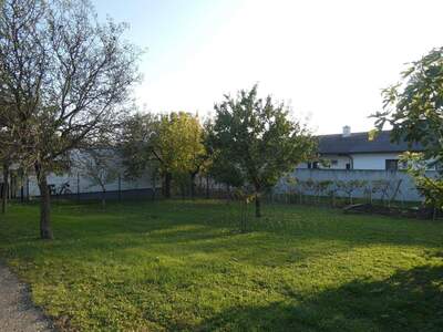 Grundstück kaufen in 7122 Gols