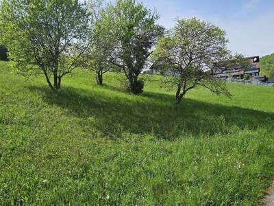Grundstück kaufen in 8112 Gratwein (Bild 3)