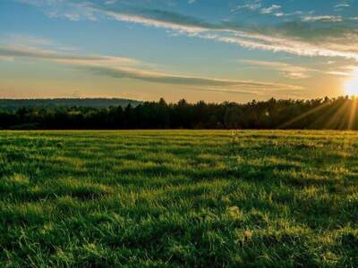 Gewerbeobjekt kaufen in 2620 Neunkirchen