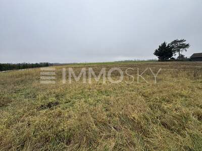 Grundstück kaufen in 2201 Kapellerfeld (Bild 3)