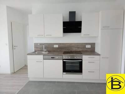 Wohnung mieten in 3382 Loosdorf