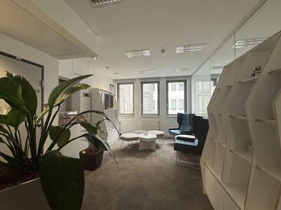 Gewerbeobjekt mieten in 1010 Wien (Bild 5)