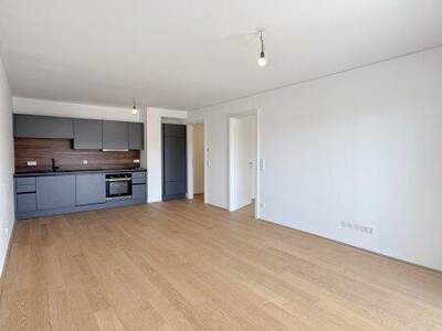 Terrassenwohnung kaufen in 1210 Wien (Bild 3)