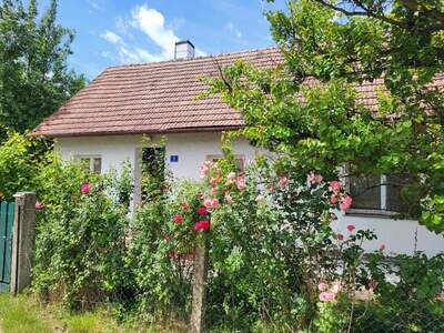 Einfamilienhaus kaufen in 3040 Neulengbach (Bild 4)