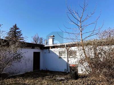 Haus kaufen in 2491 Neufeld (Bild 3)