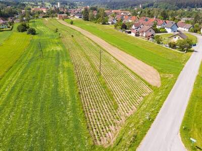 Grundstück kaufen in 3874 Litschau