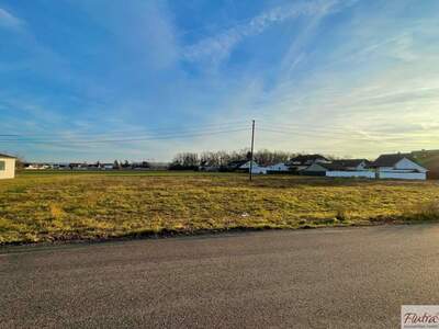 Grundstück kaufen in 4614 Marchtrenk (Bild 2)