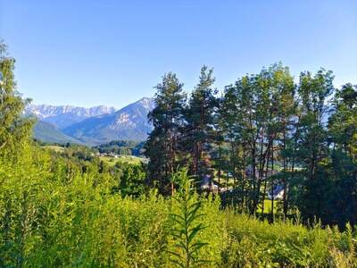 Grundstück kaufen in 9161 Maria Rain (Bild 1)