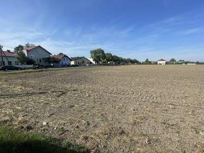 Gewerbeobjekt kaufen in 1220 Wien (Bild 3)