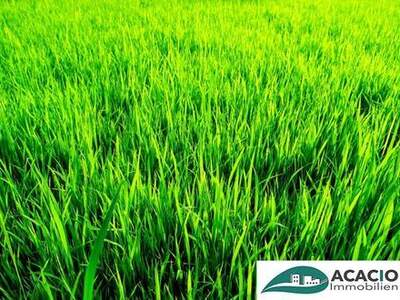 Grundstück kaufen in 3451 Michelhausen