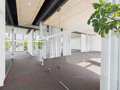 Gewerbeobjekt mieten in 6850 Dornbirn (Bild 5)