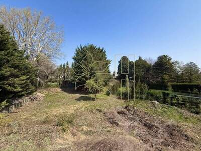 Grundstück kaufen in 1190 Wien