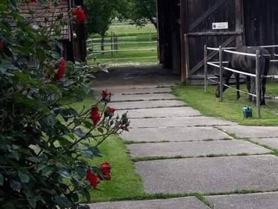 Haus provisionsfrei kaufen in 2225 Zistersdorf