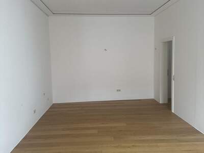 Altbauwohnung mieten in 9100 Völkermarkt (Bild 3)