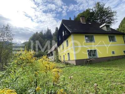 Einfamilienhaus kaufen in 8931 Landl