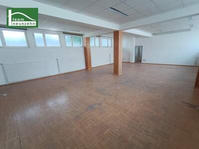 Büro / Praxis mieten in 3500 Krems (Bild 1)