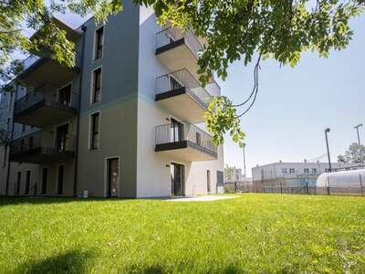 Terrassenwohnung kaufen in 2700 Wr. Neustadt (Bild 1)