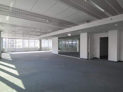 Gewerbeobjekt mieten in 1220 Wien (Bild 5)