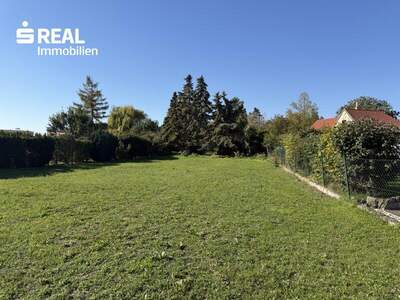 Grundstück kaufen in 2473 Potzneusiedl (Bild 1)