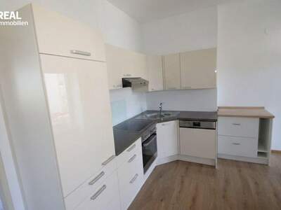 Anlageobjekt kaufen in 3252 Petzenkirchen (Bild 3)