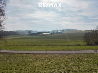 Grundstück kaufen in 4841 Ungenach (Bild 3)