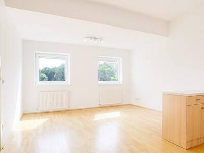 Anlageobjekt kaufen in 4040 Linz