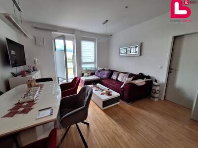 Wohnung mieten in 4560 Kirchdorf (Bild 4)