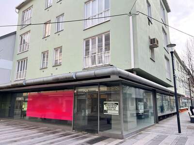 Gewerbeobjekt mieten in 2700 Wiener Neustadt (Bild 2)