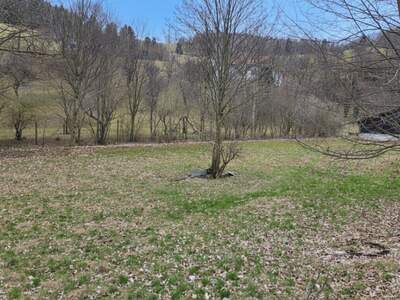 Grundstück kaufen in 2733 Schrattenbach