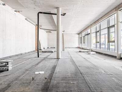 Gewerbeobjekt kaufen in 4490 St. Florian (Bild 4)