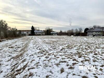 Grundstück kaufen in 4070 Pupping (Bild 1)