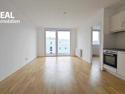 Terrassenwohnung mieten in 3100 St. Pölten (Bild 2)