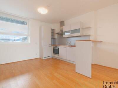 Terrassenwohnung mieten in 4020 Linz (Bild 4)