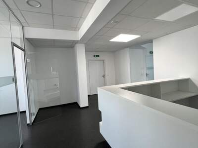 Gewerbeobjekt mieten in 4060 Leonding (Bild 3)