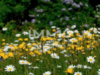 Eigentumswohnung in 4030 Linz