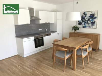 Terrassenwohnung mieten in 8020 Graz (Bild 1)