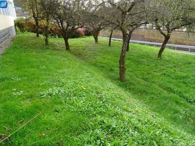 Wohnung mieten in 4783 Wernstein (Bild 5)
