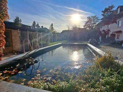 Haus mit Garten kaufen in 2512 Tribuswinkel (Bild 1)