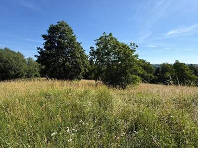 Grundstück kaufen in 7551 Stegersbach