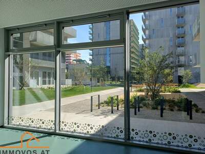 Gewerbeobjekt mieten in 1220 Wien 22. (Bild 1)