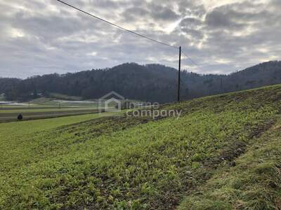 Grundstück kaufen in 8380 Jennersdorf