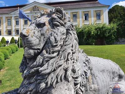 Haus kaufen in 4470 Enns