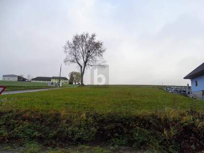 Grundstück kaufen in 3392 Schönbühel